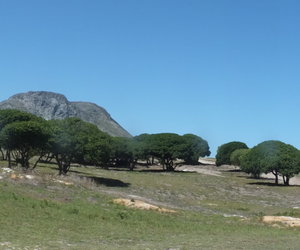 GAP Behuisingsprojek skop af